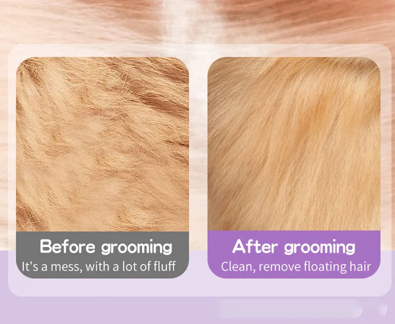 3-in-1 Electric Steamy Dog Brush – Pet Grooming, Massage & Hair Removal